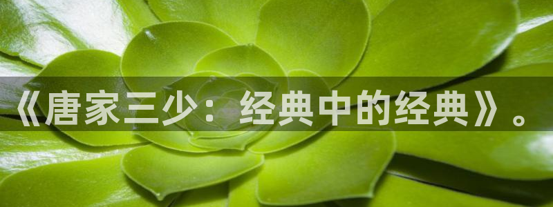 日韩漫画歪歪漫画：《唐家三少：经典中的经典》。